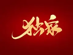 包含独家：东契奇中超首位下课主帅的词条